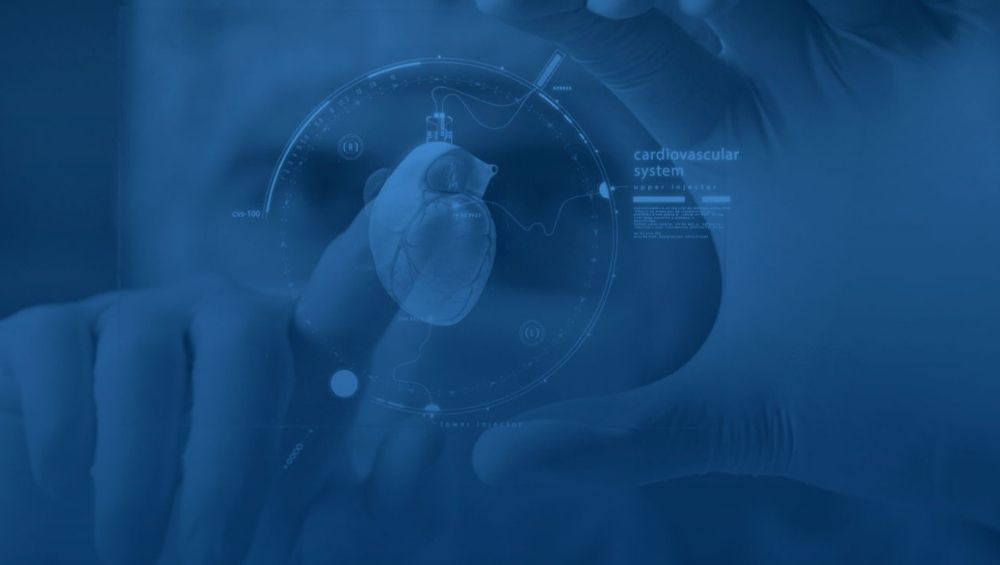Santa Casa promove workshop Medicina Baseada em Evidências